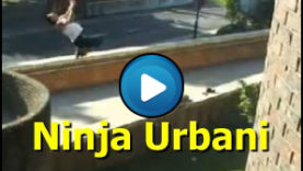 Ninja urbani