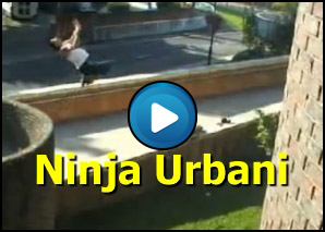 Ninja urbani