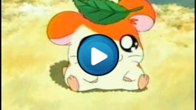 Sigla Ham Ham Hamtaro