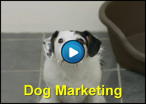 Cane si fa adottare con il Dog Marketing