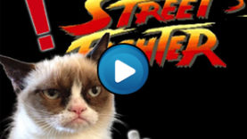 Gatti Street Fighter