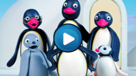 Sigla Pingu